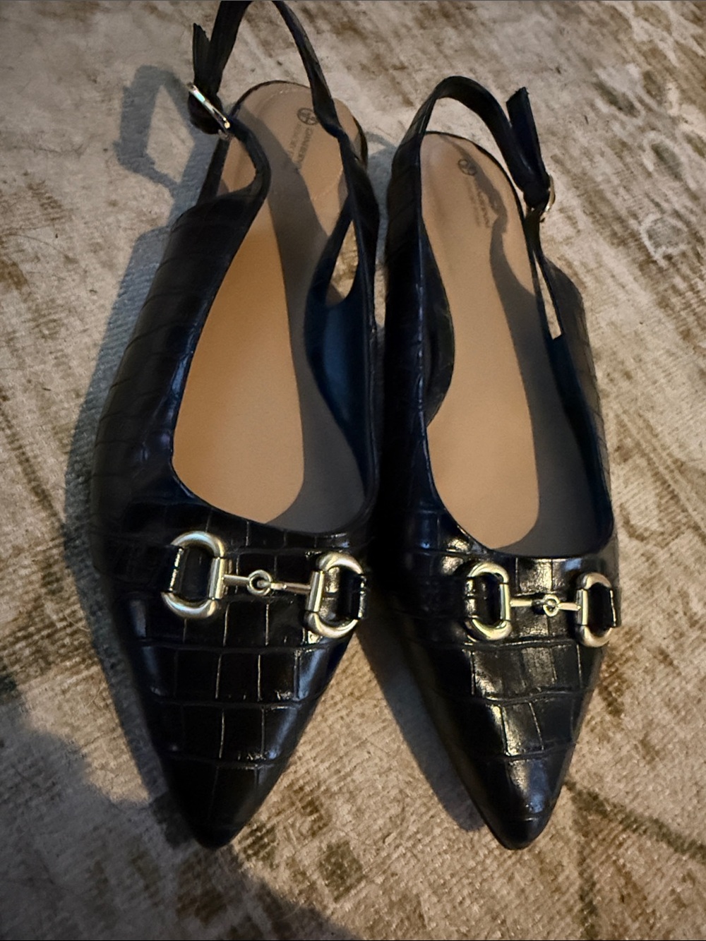 Giani Bernini Black Croc-Embossed Pointed Slingback Flats with Silver Hardware